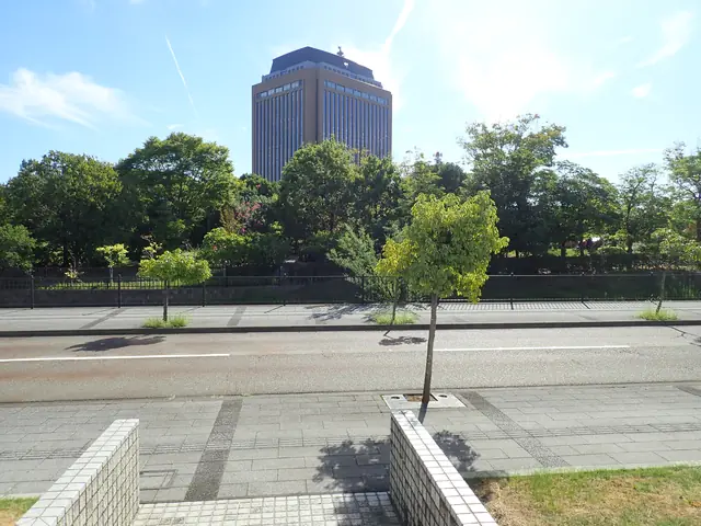 県庁からの風景