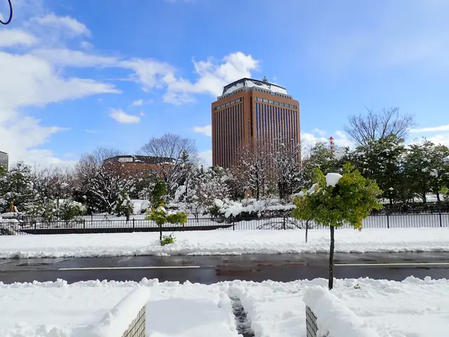 冬の県庁風景