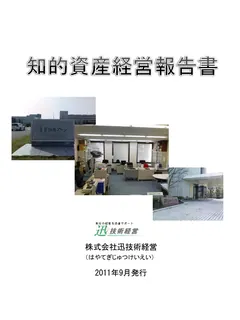 2011年版